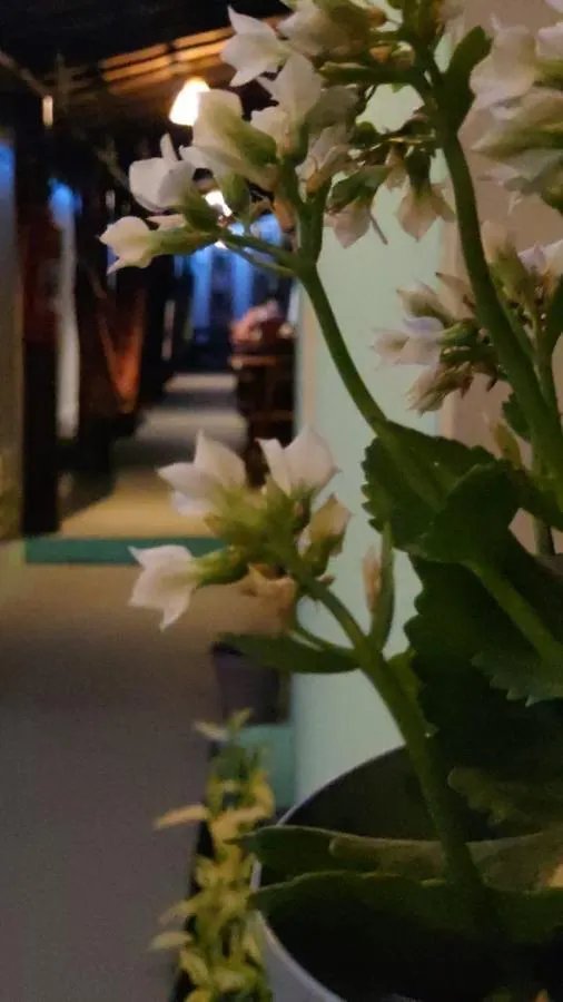 Guest house Pousada Hostel Lua Mar Arraial Brazil